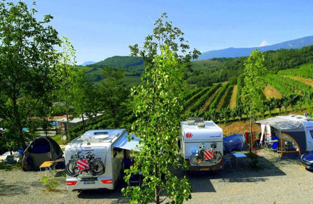 campers op Saksida Wine and Camping Resort in de vipava vallei in het wijngebied in het westen van Slovenië