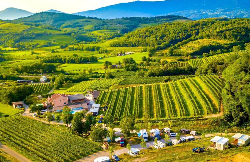 overicht over Saksida Wine and Camping Resort in de vipava vallei in het wijngebied in het westen van Slovenië