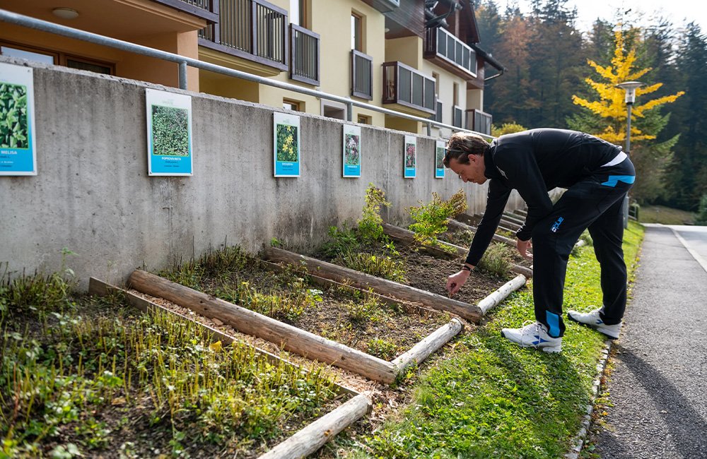 Biologische kruidentuin Camping Terme Snovik bij Kamnik en Velika planina bij de Kamnische Alpen in het noorden van Slovenië