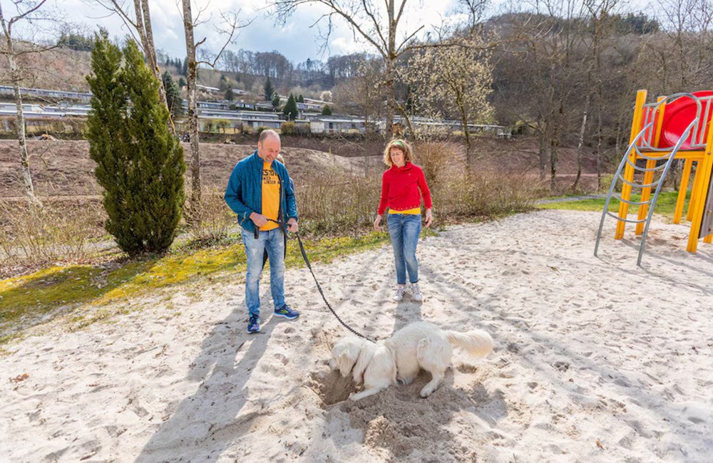 Speeltuin met hond op Campingpark Eifel in het westen van Duitsland bij de grens met Luxemburg en België