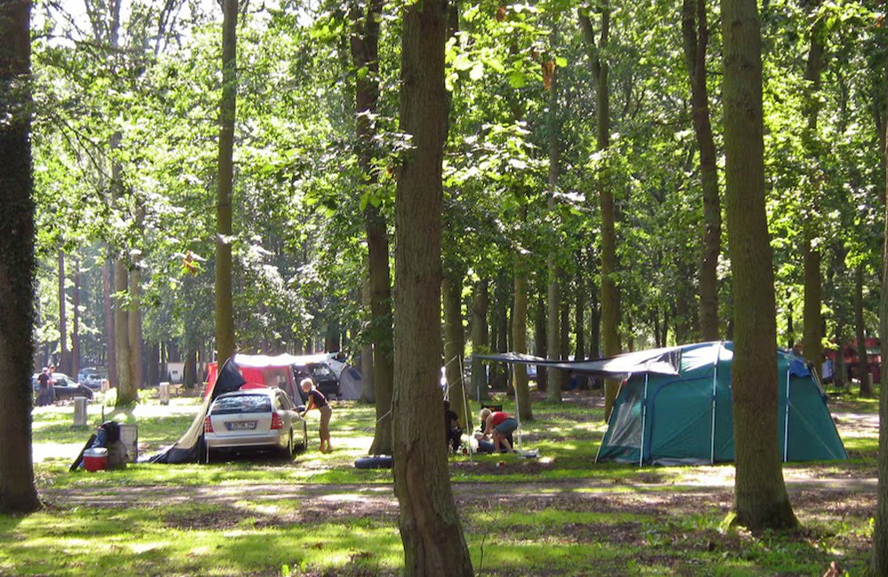 Tenten in de bossen aan de Baltische zee bij Ostsee Camping und Ferienpark Markgrafenheide in Duitsland