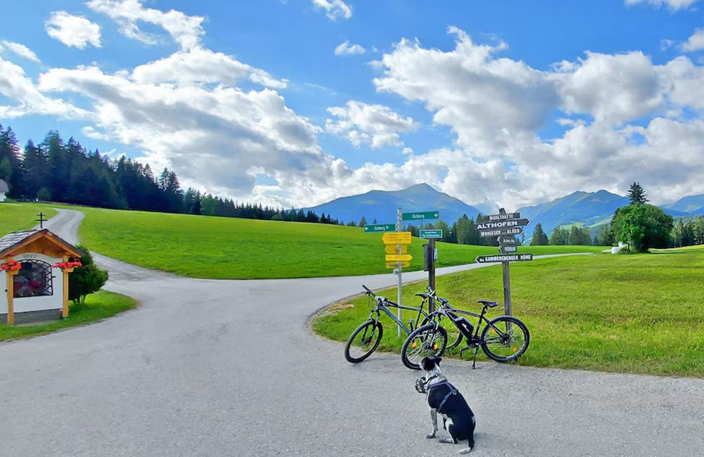 Hond en fietsen bij Camping Bella Austria in Stiermarken in de Alpen van Oostenrijk