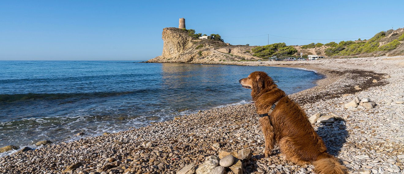 Strand aan de Costa Blanca van El Xarco in Villajoyosa in Alicante spanje