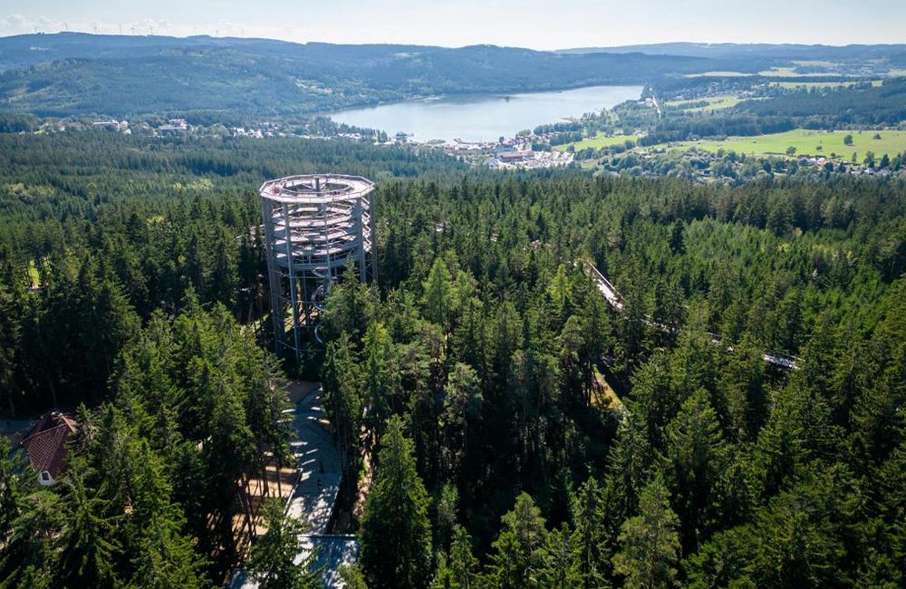 Bossen van Vakantiepark Landal Marina Lipno in het zuiden van Tsjechië bij Český Krumlov