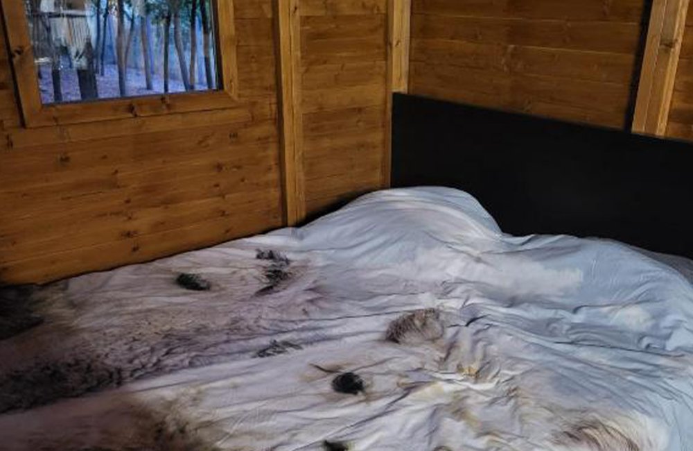 Bed in pipowagen van Alpacacamp Helvécia in het zuiden van Hongarije