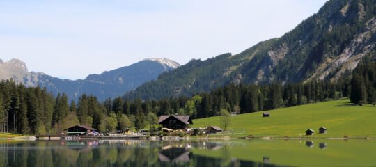 Diervriendelijke Campings in Tirol