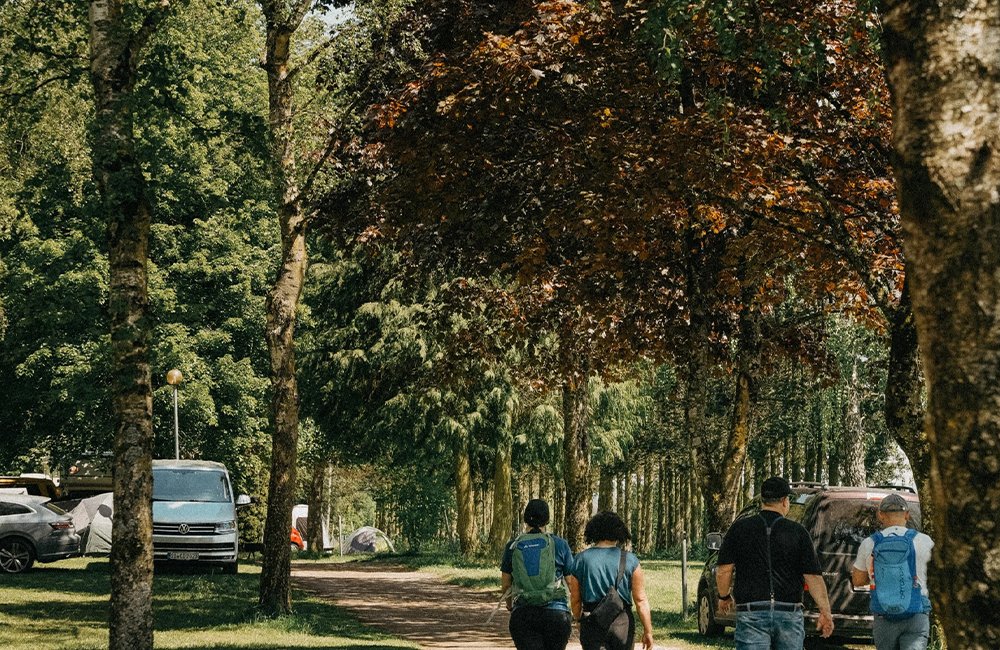 Camping Belle-Vue 2000 bij het Müllerthal het Klein-Zwitserland van Luxemburg