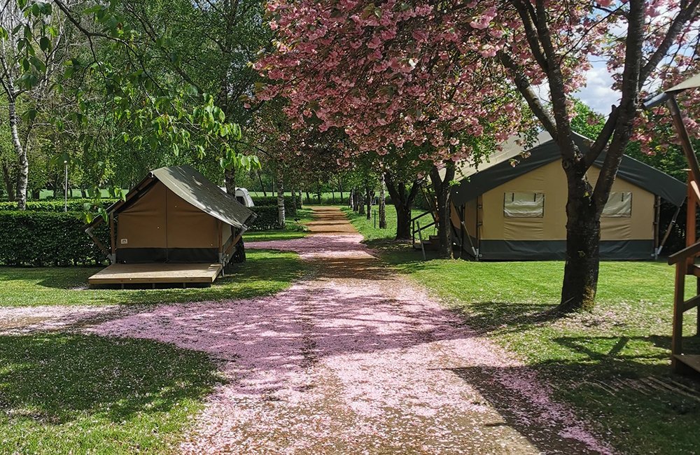 Glamping tenten van Camping Belle-Vue 2000 bij het Müllerthal het Klein-Zwitserland van Luxemburg