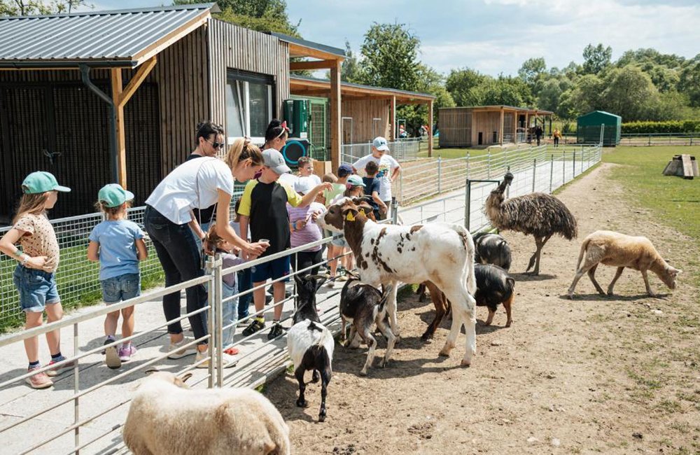 Kinderboerderij van Camping Villa Betula Resort aan het Liptovská Mara Meer in het Tatra gebergte van Slowakije