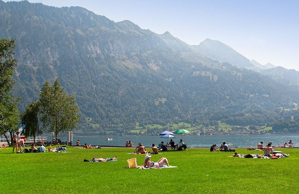 Ligweide van Camping Manor Farm aan het thunermeer in de Alpen van Berner Oberland in Zwitserland