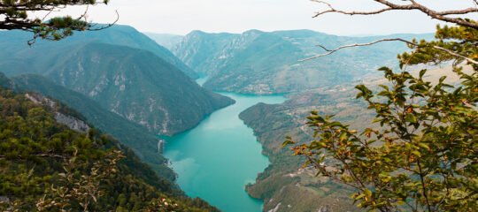 Diervriendelijke Campings in Servië