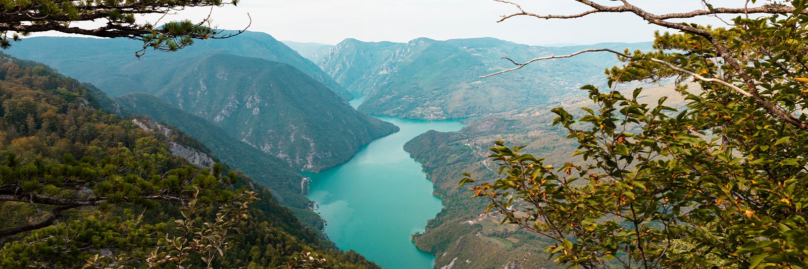 Nationaal park Tara in Servië