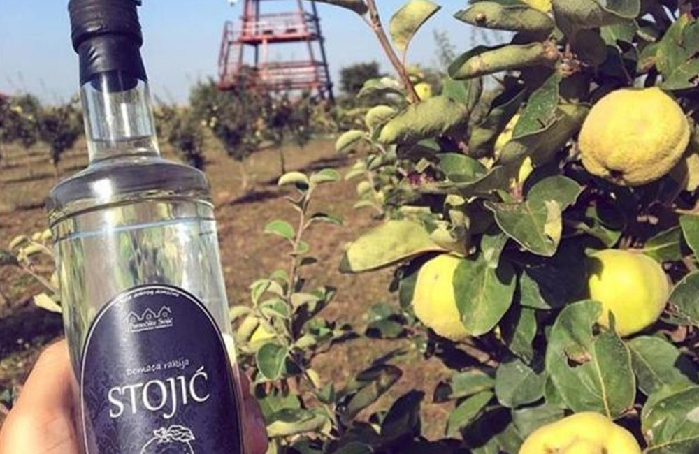 Rakija en kweeperen op Camp Salaš Farma 47 bij Novi Sad in Servië