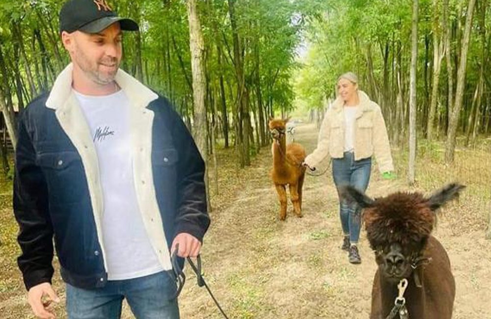 Wandeling met alpaca's bij Alpacacamp Helvécia in het zuiden van Hongarije