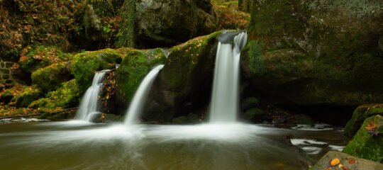 Diervriendelijke Campings in de Luxemburgse Müllerthal