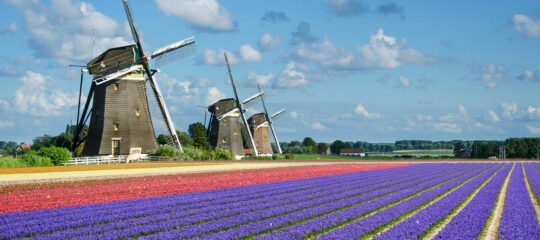 Diervriendelijke Campings in Nederland