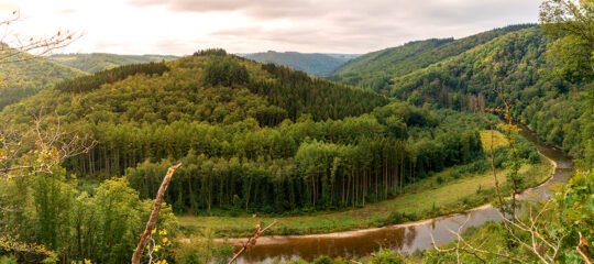 Diervriendelijke campings in de Belgische Ardennen