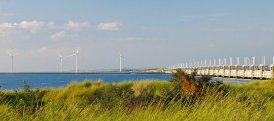 Diervriendelijke Campings in Zeeland