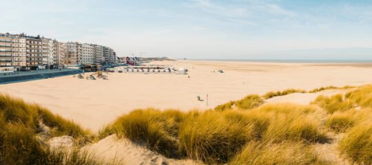 Diervriendelijke campings aan de Belgische kust