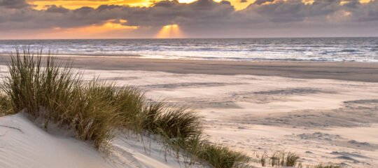 Diervriendelijke Campings op Ameland