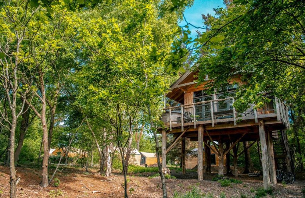 Hondvriendelijke camping EuroParcs Ruinen