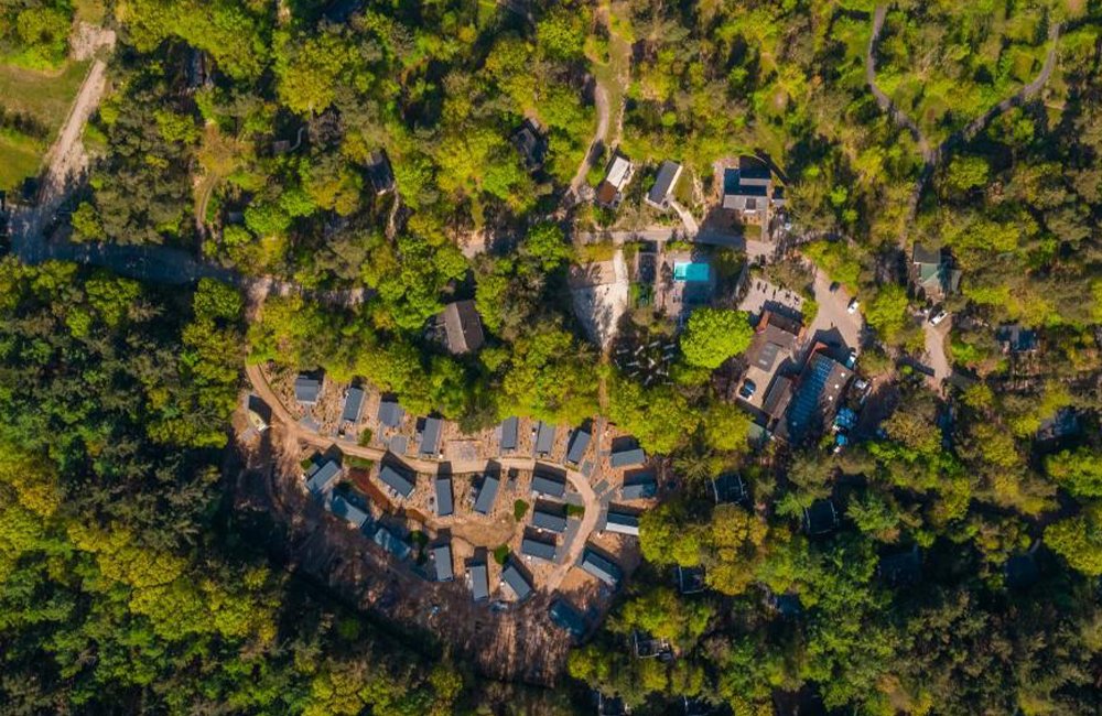 Hondvriendelijke camping Vakantiepark de Wiltzangh