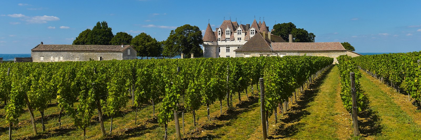 Wijngaarden en het kasteel van Montbazillac in de Dordogne van Frankrijk