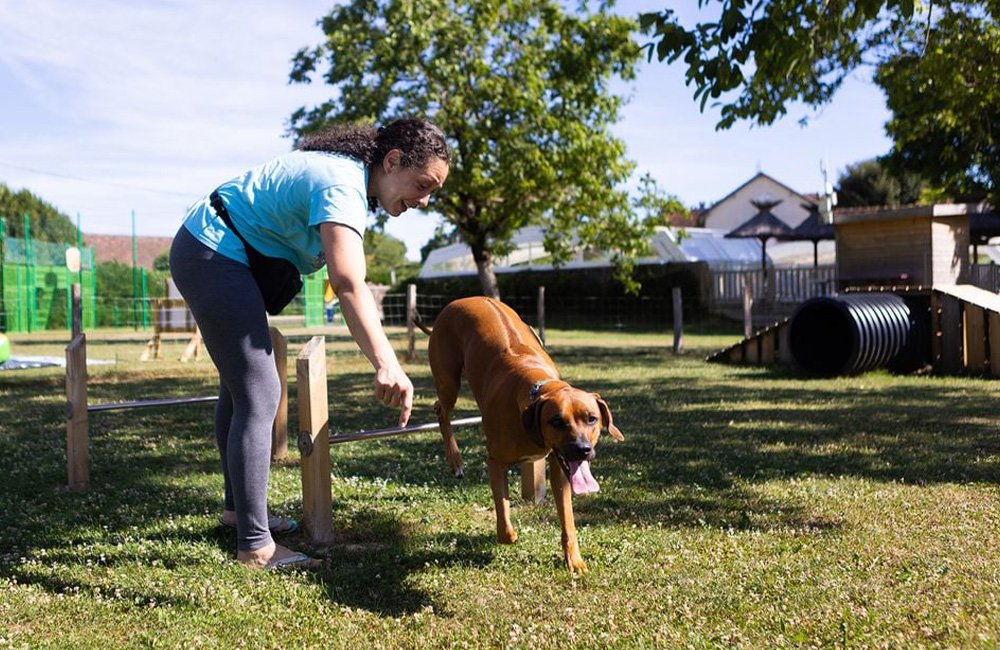 doggypark van Camping Le Ventoulou in de Dordogne van Frankrijk
