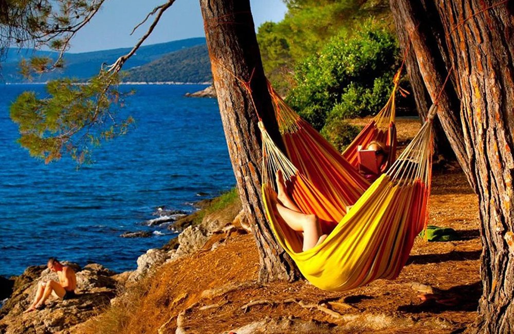 Hondvriendelijke camping Camping Bijar