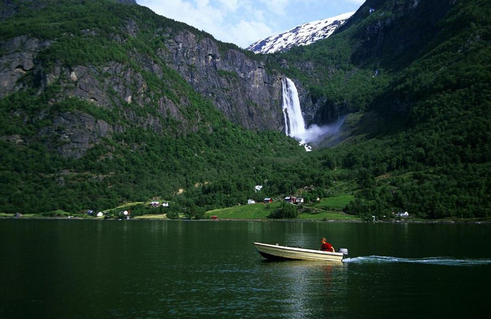 Hondvriendelijke camping Pluscamp Sandvik