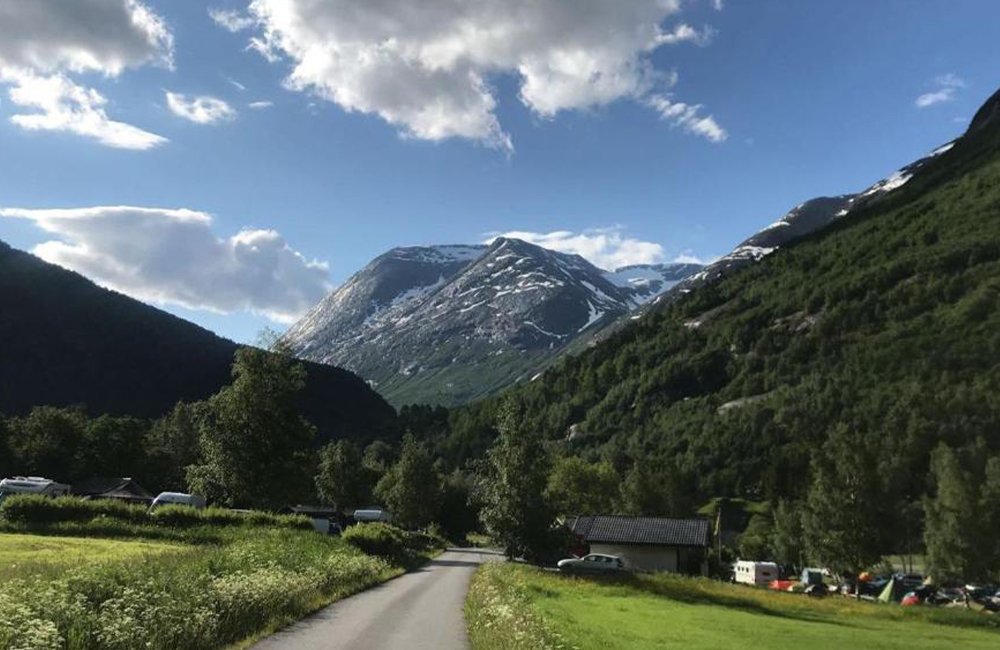 Hondvriendelijke camping Nygård