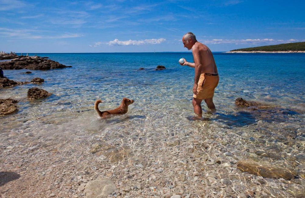 Kamperen met hond op Camping Slatina