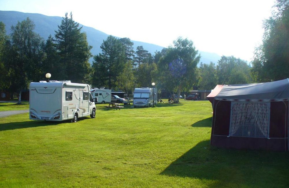 Kamperen met hond op Furuly Camping