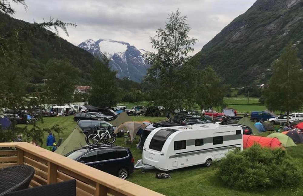 Kamperen met hond op Nygård Camping
