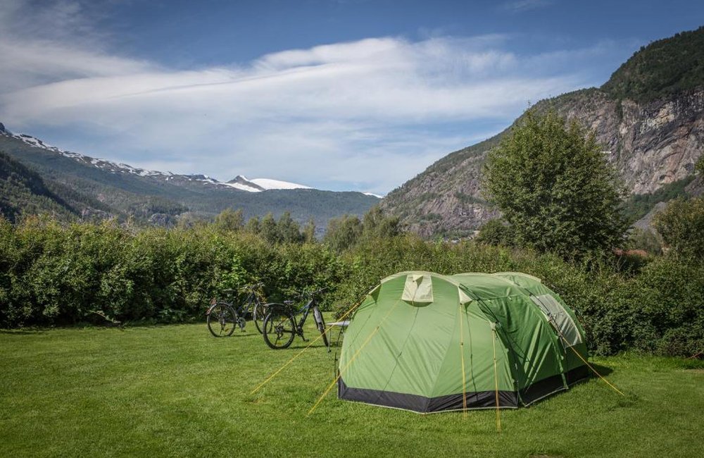 Kamperen met hond op Pluscamp Sandvik