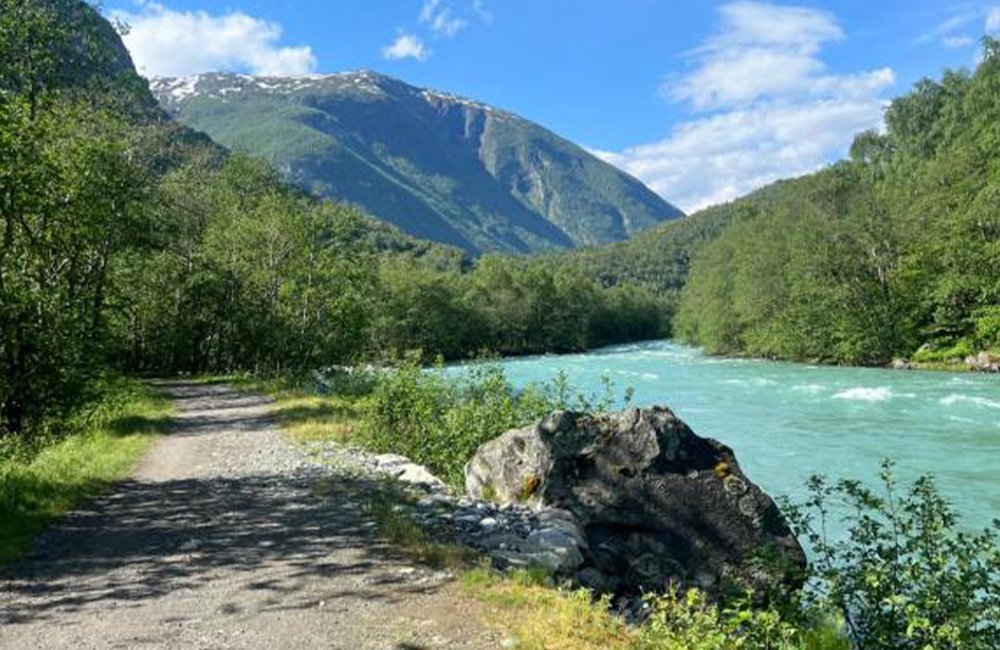 Kamperen met hond op Utladalen Camping