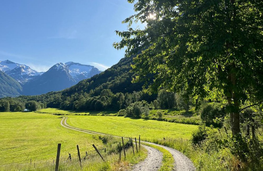 Nygård Camping aan het Oppstrynsvatnet meer bij de Innvikfjord in Noorwegen
