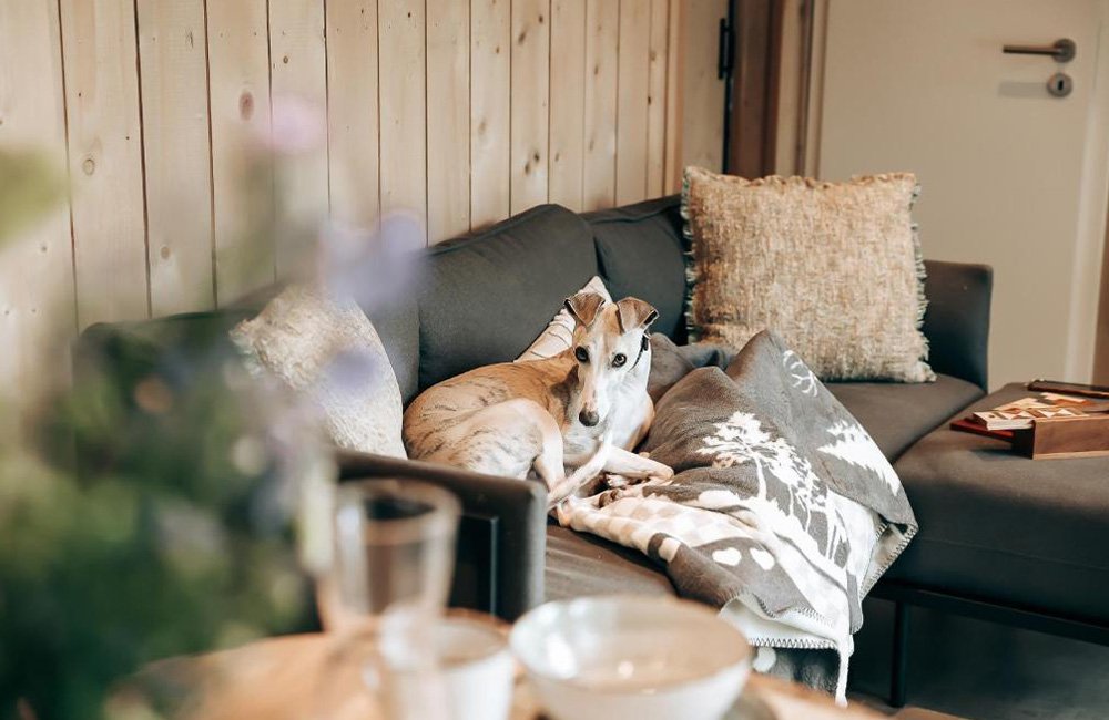 Camping Hameau de Semois in de Belgische Ardennen vlakbij Luxemburg en Frankrijk