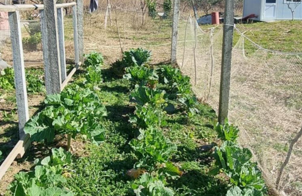 Camping & biofarm Gjegji bij de Adriatische zee in Albanië