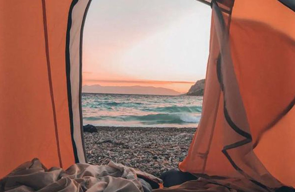 Hondvriendelijke camping Camping Aquarium