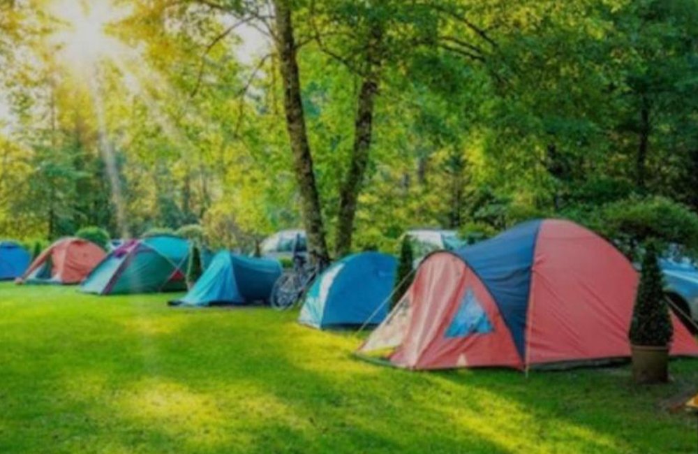 Hondvriendelijke camping Camping & biofarm Gjegji