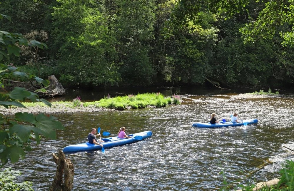 Kamperen met hond op Camping Floreal La Roche-en-Ardenne