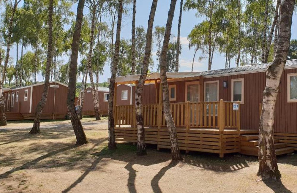 Kamperen met hond op Camping Le Ranch des Volcans