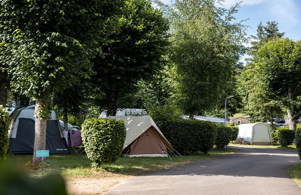Kamperen met hond op Camping Paradis l'Europe