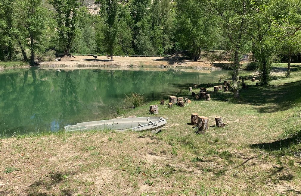 Kamperen met hond op Camping La Rivière
