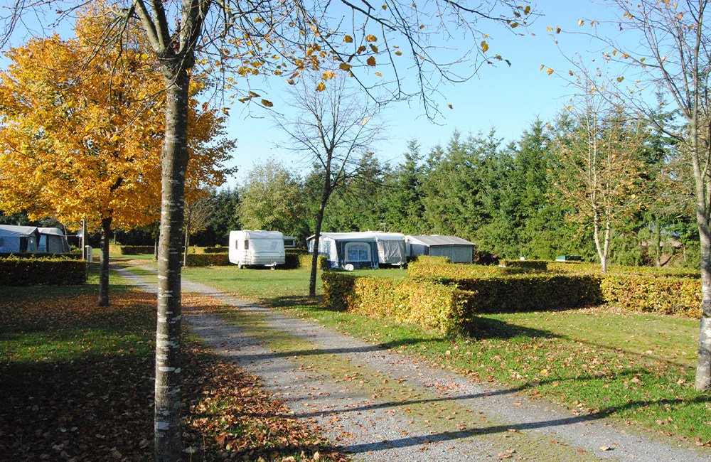 Kamperen met hond op Camping de Reenert